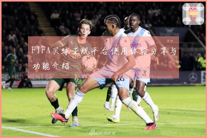 FIFA买球正规平台使用体验分享与功能介绍