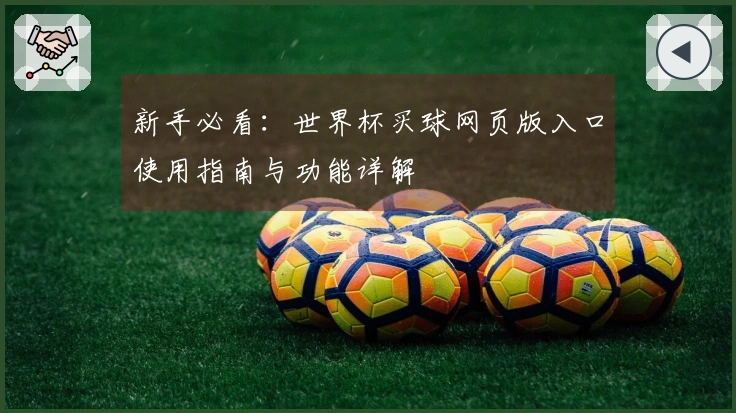 新手必看：世界杯买球网页版入口使用指南与功能详解