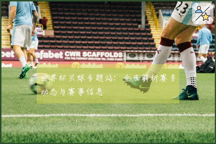 世界杯买球专题站：全面解析赛季动态与赛事信息