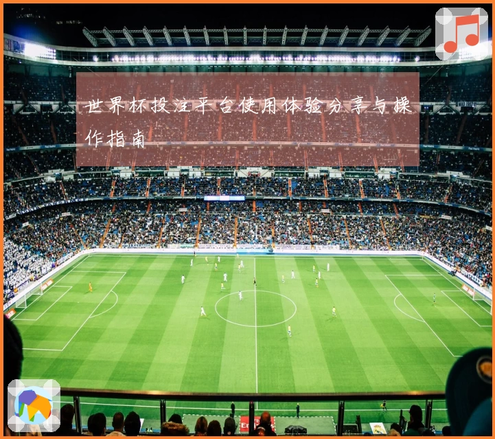 世界杯投注平台使用体验分享与操作指南