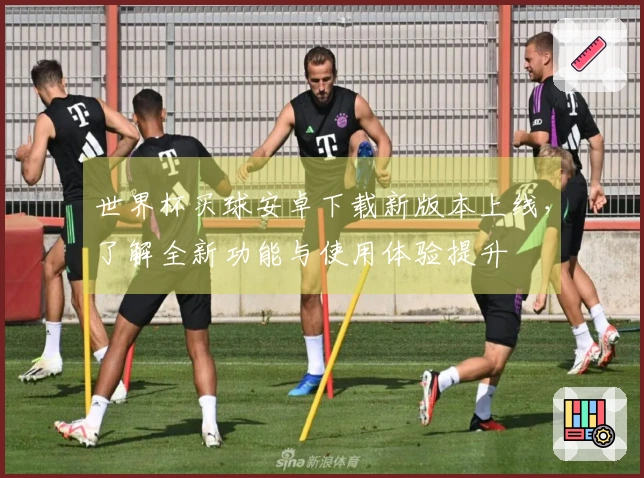 世界杯买球安卓下载新版本上线，了解全新功能与使用体验提升
