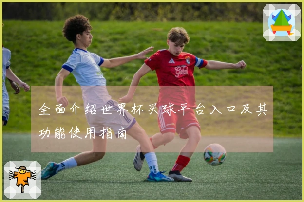 全面介绍世界杯买球平台入口及其功能使用指南