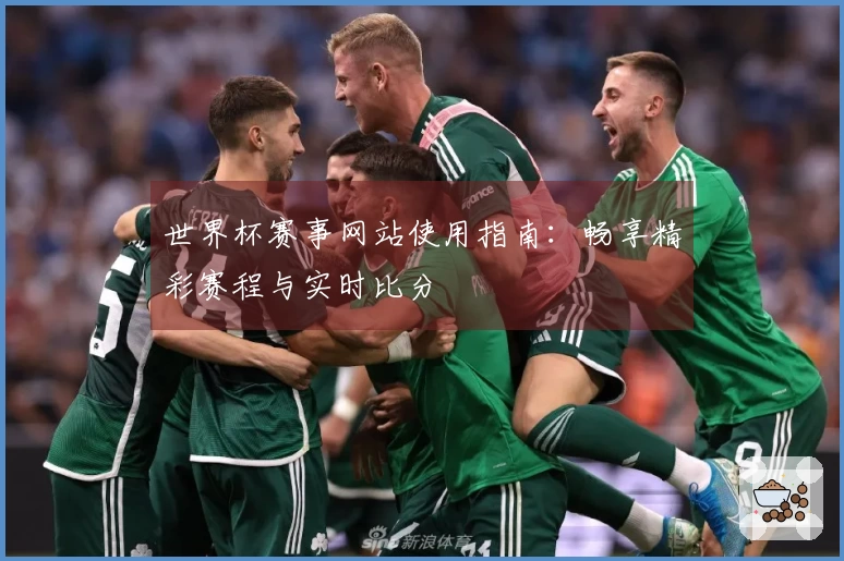 世界杯赛事网站使用指南：畅享精彩赛程与实时比分
