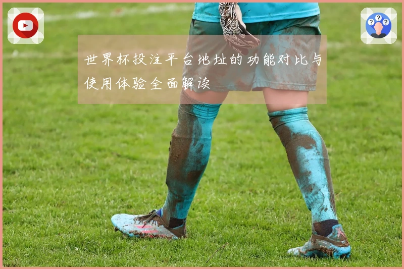 世界杯投注平台地址的功能对比与使用体验全面解读