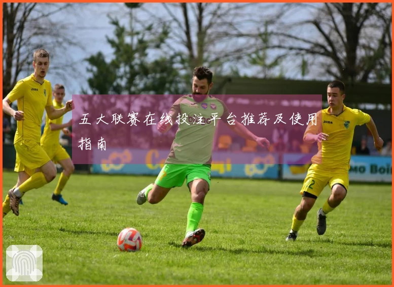 五大联赛在线投注平台推荐及使用指南