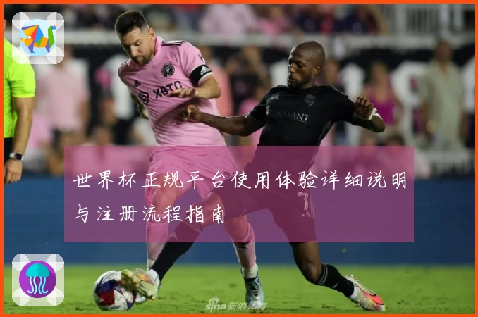 世界杯正规平台使用体验详细说明与注册流程指南