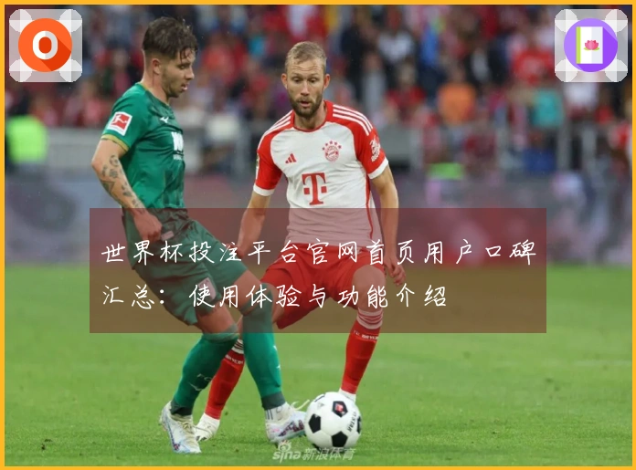 世界杯投注平台官网首页用户口碑汇总：使用体验与功能介绍