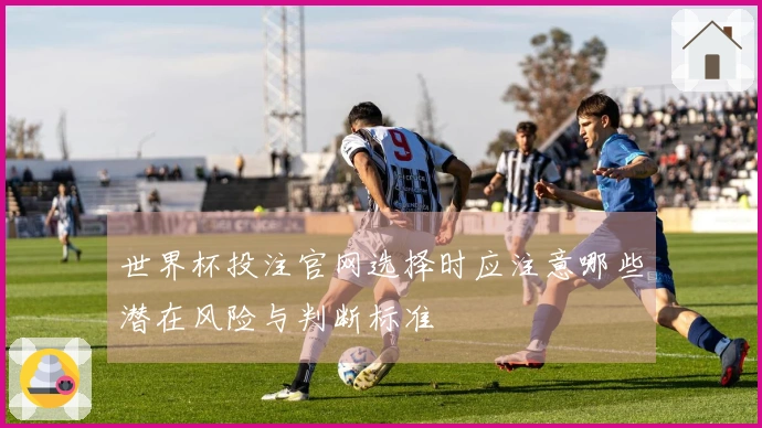 世界杯投注官网选择时应注意哪些潜在风险与判断标准