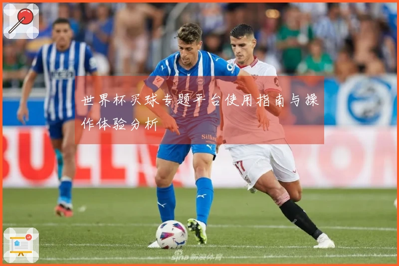 世界杯买球专题平台使用指南与操作体验分析