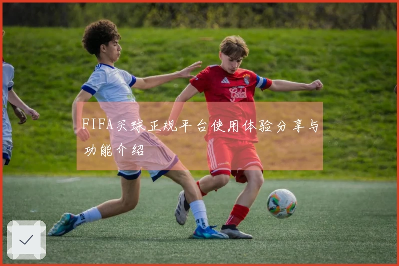 FIFA买球正规平台使用体验分享与功能介绍