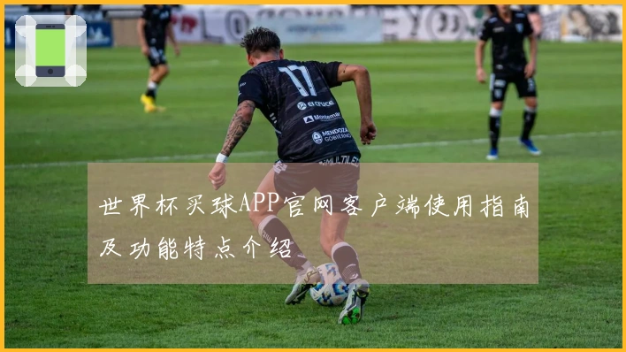 世界杯买球APP官网客户端使用指南及功能特点介绍