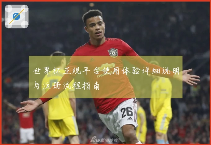 世界杯正规平台使用体验详细说明与注册流程指南