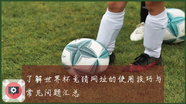 了解世界杯竞猜网址的使用技巧与常见问题汇总