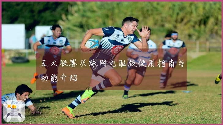五大联赛买球网电脑版使用指南与功能介绍