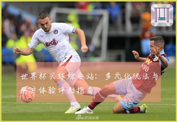 世界杯买球综合站：多元化玩法与用户体验评测指南